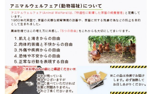 ＜黒岩土鶏(丸ごと一羽分)合計1,600g以上＞