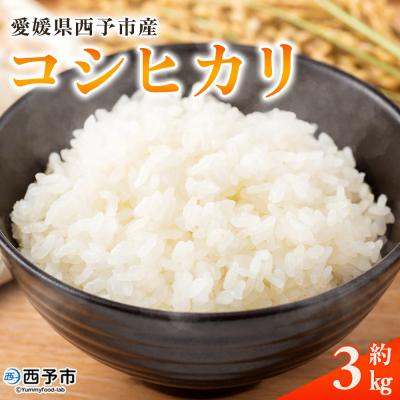 ふるさと納税 西予市 <令和8年産 愛媛県西予市産 コシヒカリ 3kg>国産 愛媛県産 宇和町産