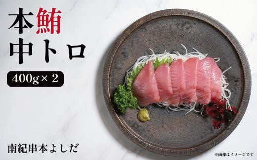 
            南紀串本よしだ 本鮪 中トロ サク 400g×2 合計 800g
          