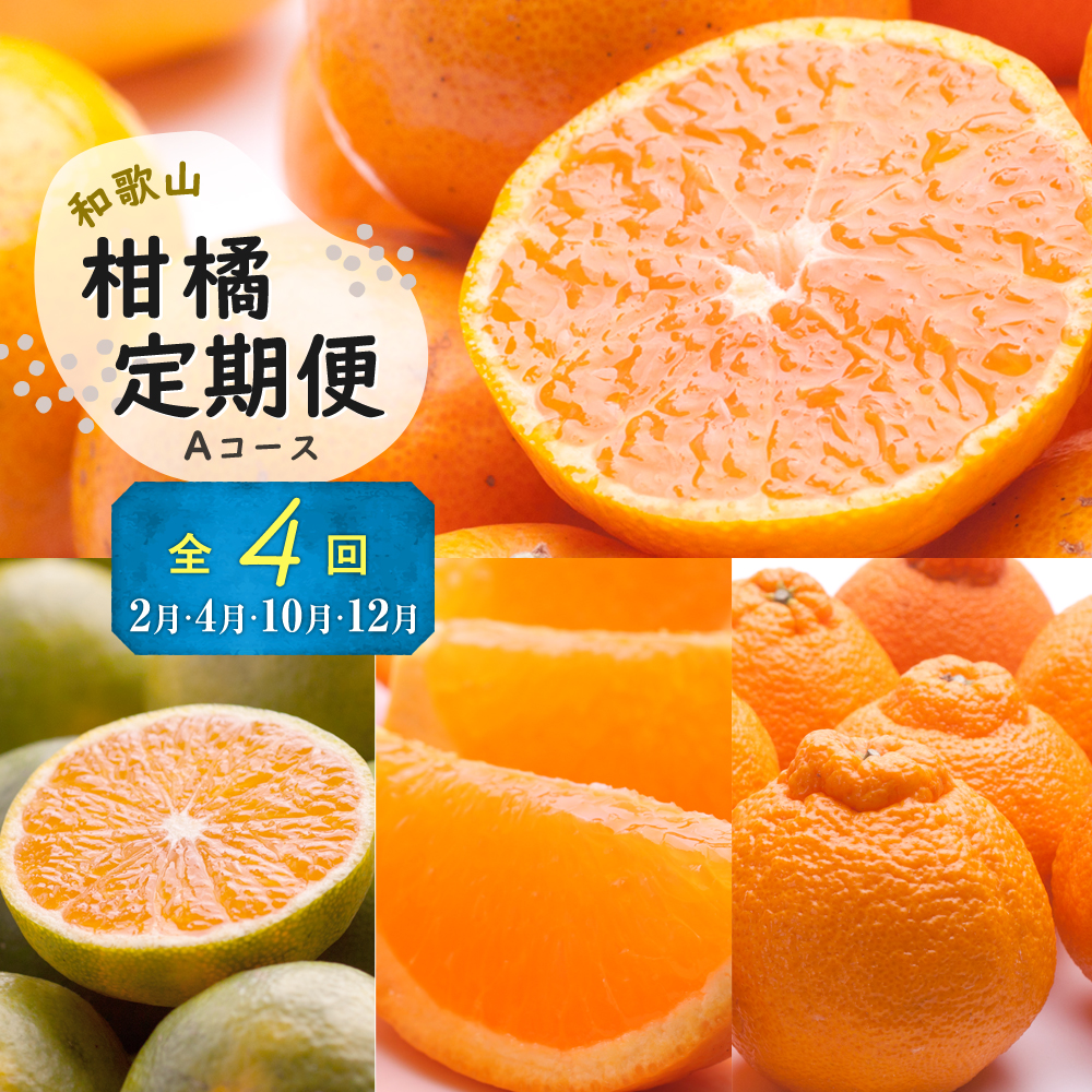 季節の柑橘定期便A【偶数月・全4回】【和歌山県有田】_ZH7020