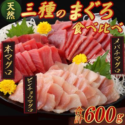 ふるさと納税 室戸市 【3種のまぐろお手軽グルメセット】 600g