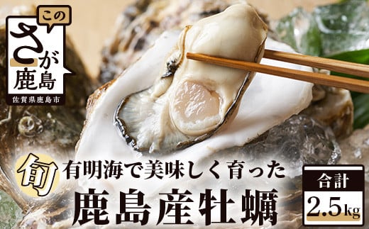 
鹿島産 牡蠣 2.5kg(殻付き)【加熱調理用】品種(スミノエ) 期間限定 牡蠣 かき カキ 牡蠣焼き かき焼き カキ焼き 有明海 オイスター 佐賀 B-559
