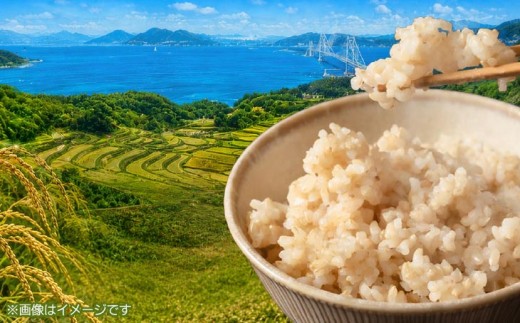 【定期便】令和8年産米　淡路島産コシヒカリ　玄米10kg《12回コース》
