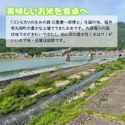 ふるさと納税 坂井市 おおかわさんちのこしひかり 5kg [A-10804] |  | 03