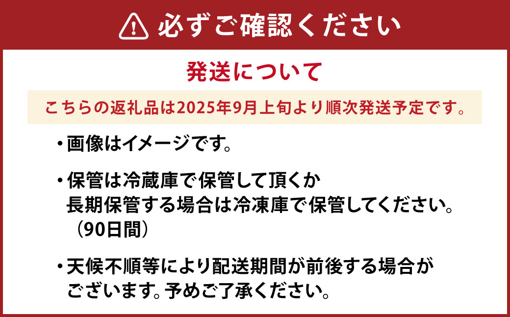 熊本県産 和栗 2kg