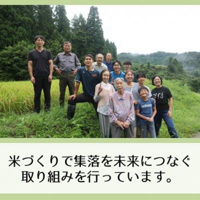 ふるさと納税 十日町市 【先行予約・令和8年産】新潟県魚沼産コシヒカリ「山清水米」精米10kg |  | 01
