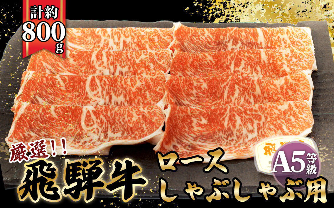 
店主こだわり雌牛 飛騨牛A5等級　ロース　しゃぶしゃぶ用　約800g [No.067] ／ 牛肉 ブランド牛 鍋 メス牛 冷凍 岐阜県 特産
