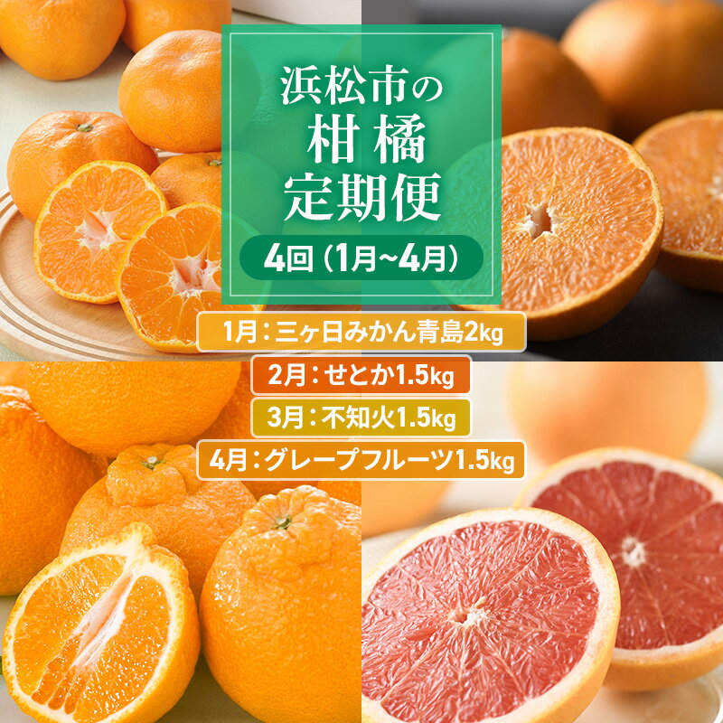 【ふるさと納税】【2026年1月中旬より発送】浜松市の柑橘定期便 4回（1月～4月）三ヶ日みかん青島・せとか・不知火・グレープフルーツ　お届け：2026年1月中旬～2026年4月下旬