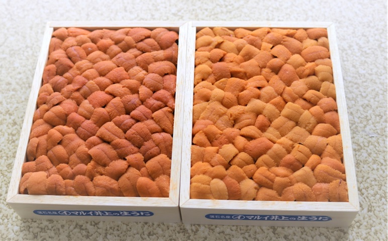 エゾバフンウニバラ詰め(赤系)約250g×1折[11月上旬以降発送] C-71028