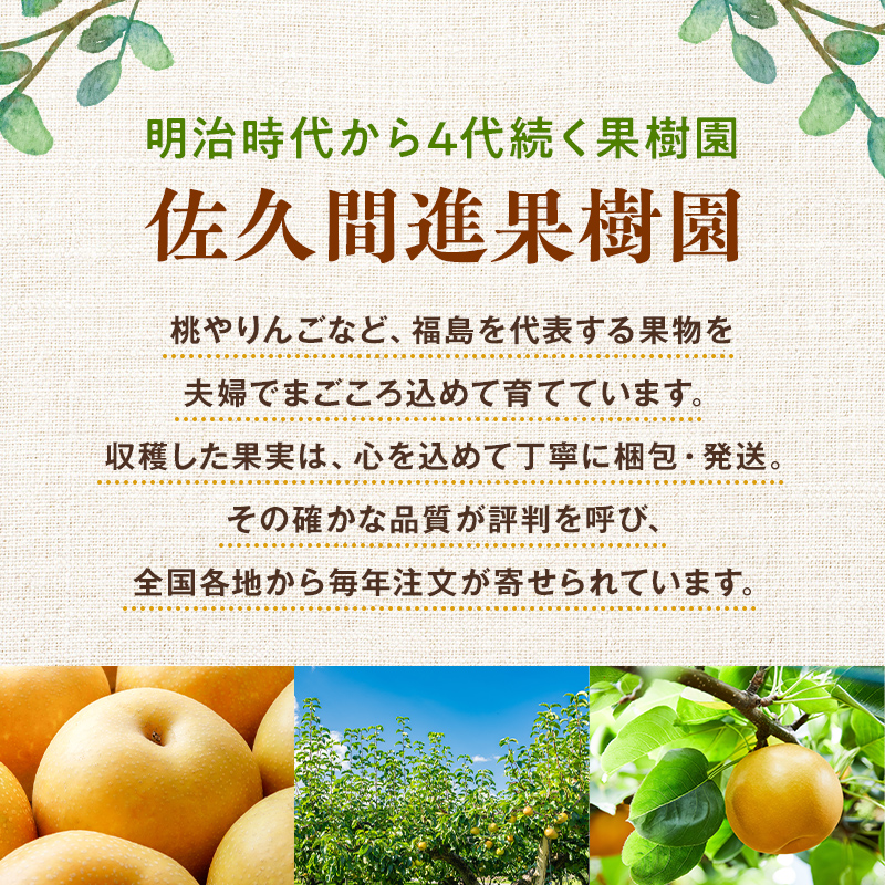 【2026年出荷分先行予約】明治から続く果樹園の梨「幸水」2kg（玉数おまかせ） なし 果物 くだもの デザート ギフト ナシ 甘い フルーツ 福島県 白河市 F24R-216