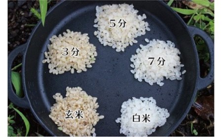 長野県小谷村百姓七人衆のゆめしなの　１０kg