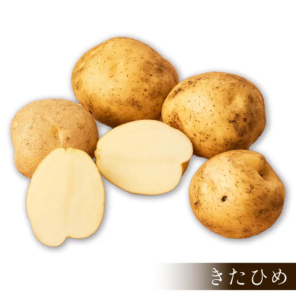 2026年産 先行予約 北海道産 新じゃが じゃがいも きたひめ 10kg 北海道 上士幌町 須田農場 野菜 ジャガイモ 馬鈴薯 産地直送 ◆2026年9月中旬発送開始予定