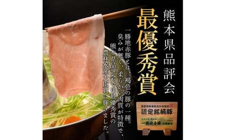≪3ヵ月定期≫一勝地赤豚焼肉セット(1kg) FKP9-285