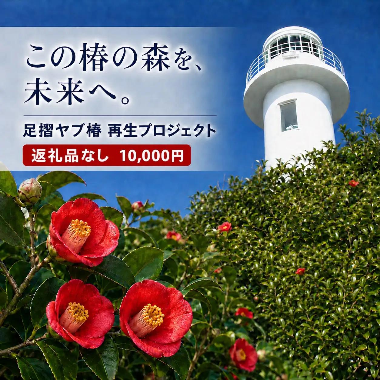 足摺ヤブ椿再生プロジェクト 応援一口  10,000円（3,000円分） ※返礼品なし※ 自然保護 椿 つばき ツバキ 藪椿 ヤブツバキ クラウドファンディング 募金 環境保護 SDGs 高知県【R01752】