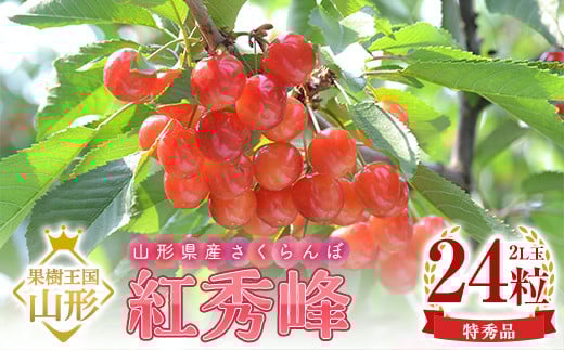 【令和7年産 先行予約】山形県産さくらんぼ 紅秀峰 特秀 2L玉 24粒 化粧箱入り FSY-1097