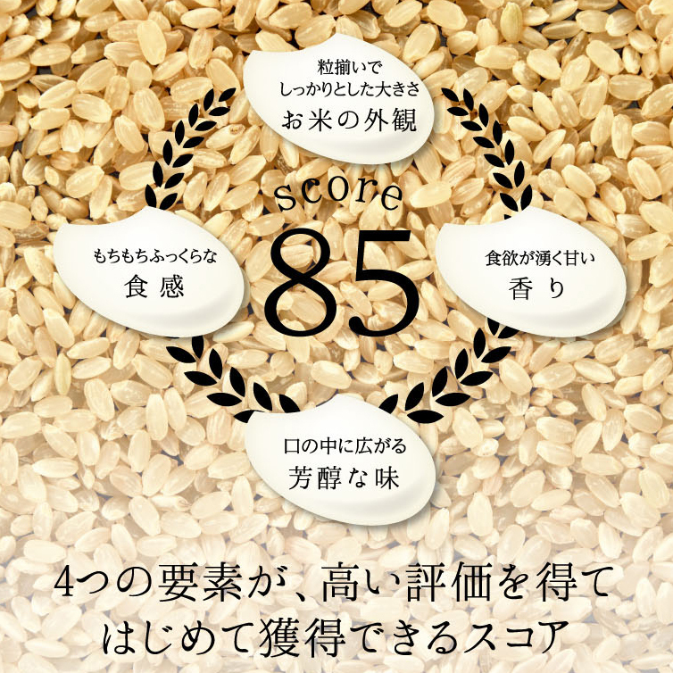 ≪先行予約≫特別栽培米 コシヒカリ ヒロシノキモチ 玄米 10kg 陽咲玲 米 お米 コメ ご飯 ごはん 富山県産 富山県 立山町 F6T-812_イメージ3