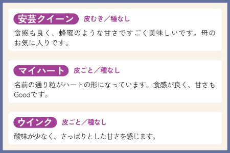 【2025年10月以降順次発送予】農家厳選！採れたてぶどうの詰合せ（品種おまかせ）