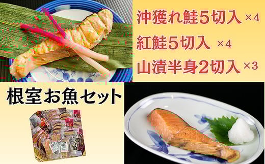 C-66020 根室お魚セット