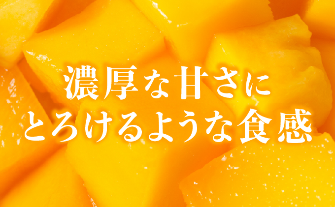 2025年6月中旬発送予定。『箱を開けた瞬間から、至極のひと時を』西表島プレミアムマンゴー900g