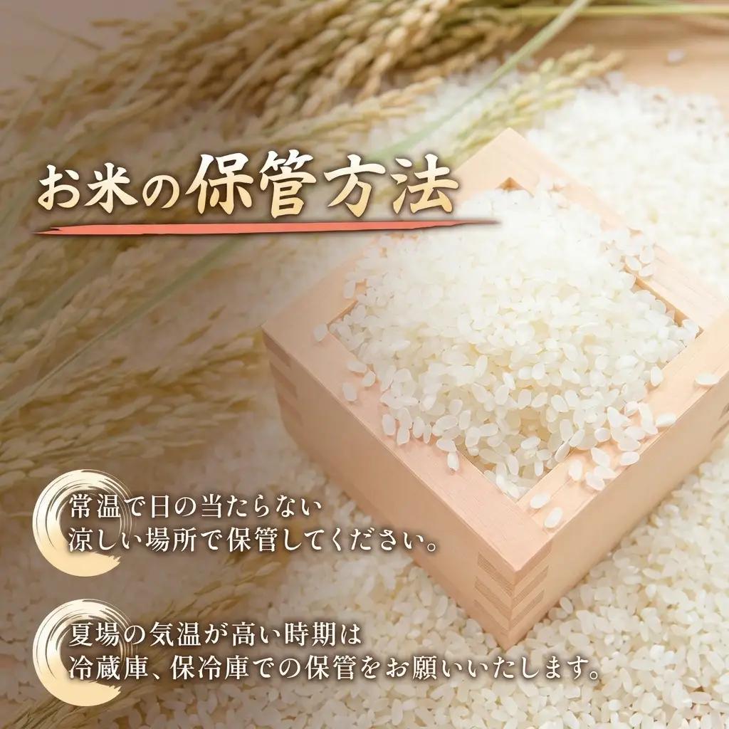 イセヒカリ 山本農園 コシヒカリ 食べ比べ 2kg×2 米