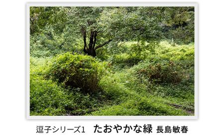 オリジナルプリント長島敏春たおやかな緑逗子シリーズオリジナルプリント【フレーム付き】