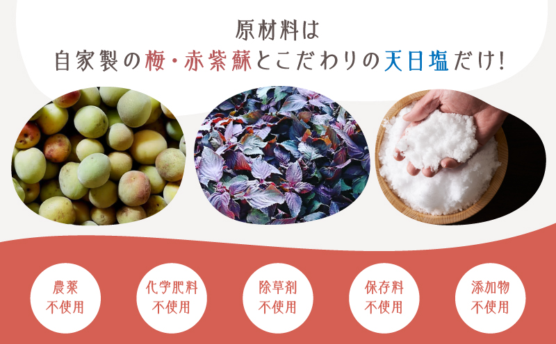 2403 昔ながらのしょっぱい おおすみ百年梅干 800g（400g×2袋） 塩分20%　KN093-001-01