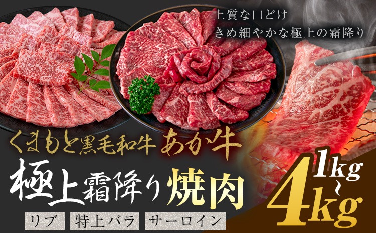 黒毛和牛 あか牛 極上霜降り リブ サーロイン 特上バラ 焼肉 1kg 2kg 4kg《30営業日以内に出荷予定(土日祝除く)》熊本県 氷川町 牛 牛肉 和牛 ブランド牛---hkw_26_lcl_437_1kg---