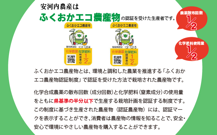 令和8年産 【先行予約】にこまる 5kg 【10月下旬より順次発送】福岡県宮若産〈安河内農産〉 [M04-6] 九州のお米食味コンクール金賞米 福岡ワンヘルス認証 精米 ブランド米 コメ ご飯 白米
