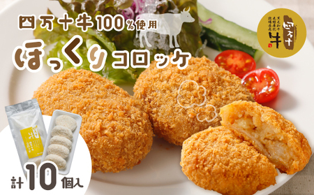 26-015．四万十牛100％！コロッケ 10個入り（5個×2パック）