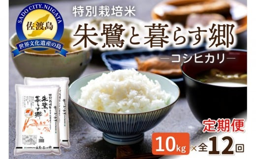 【12ヶ月連続お届け】佐渡産コシヒカリ 朱鷺と暮らす郷（10kg（5kg×2））