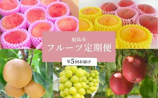 
No.2263あかつきから始まるフルーツ5品定期便【2025年発送　先行予約】
