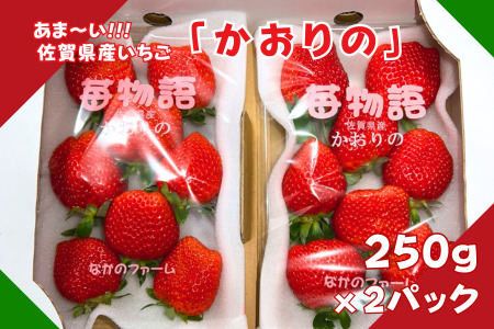 佐賀県産 いちご「かおりの」（250g×2パック）：A080-006