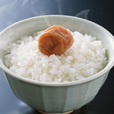 ふるさと納税 関市 【岐阜県代表品種】令和7年産ハツシモ米　白米10kg【11月20日以降順次発送】 |  | 02