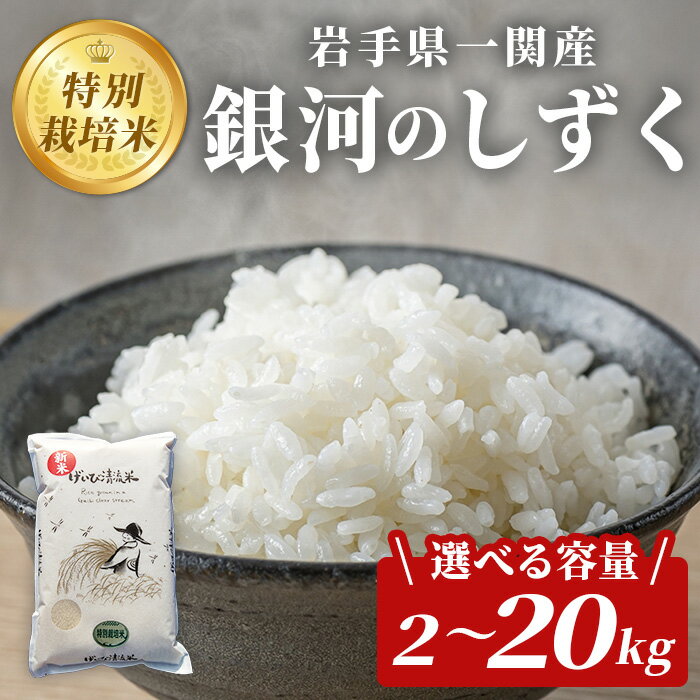 【ふるさと納税】新米 令和7年産 岩手県産 銀河のしずく 特別栽培米 2kg 5kg 10kg 20kg 選べる容量 お米 いわて コメ 精米 ブランド米 米 ご飯 白飯 ごはん お弁当 おにぎり 袋 東北 国産 岩手県 一関市 田舎モノ