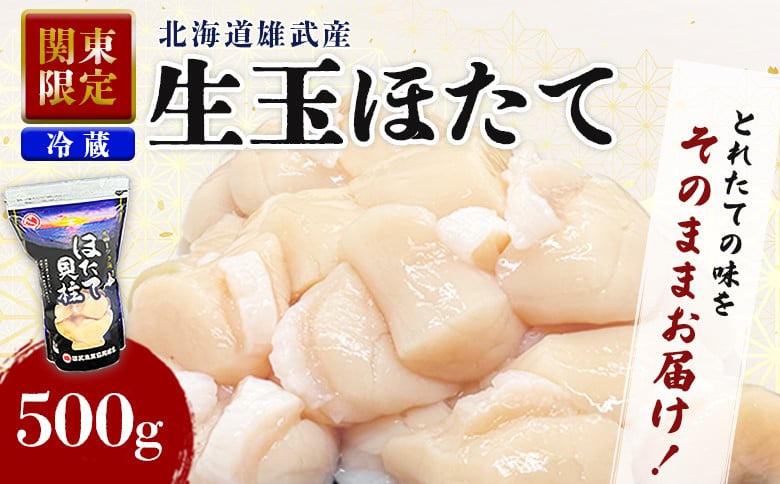 
            【関東限定！】北海道雄武町産　生玉ほたて500g塩水パック（冷蔵）｜関東限定 生玉ホタテ 生ホタテ　大粒 ホタテ 帆立 ほたて 新鮮 500g 生 冷蔵 塩水パック オホーツク 北海道 雄武町 雄武 刺身 魚貝 魚介 海鮮【0712501】
          