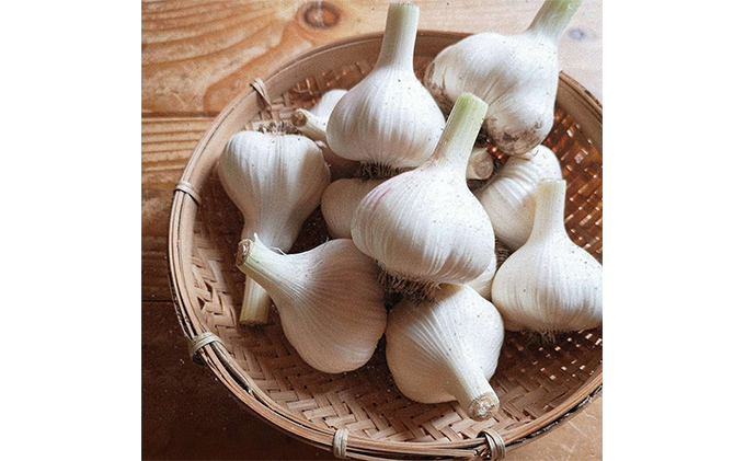 上富良野産 秋のオーガニックお野菜セット
