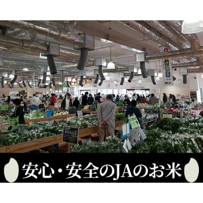 ふるさと納税 亀岡市 【毎月定期便】JA京都 たわわ朝霧の京都丹波産 コシヒカリ5kg 全3回 |  | 02