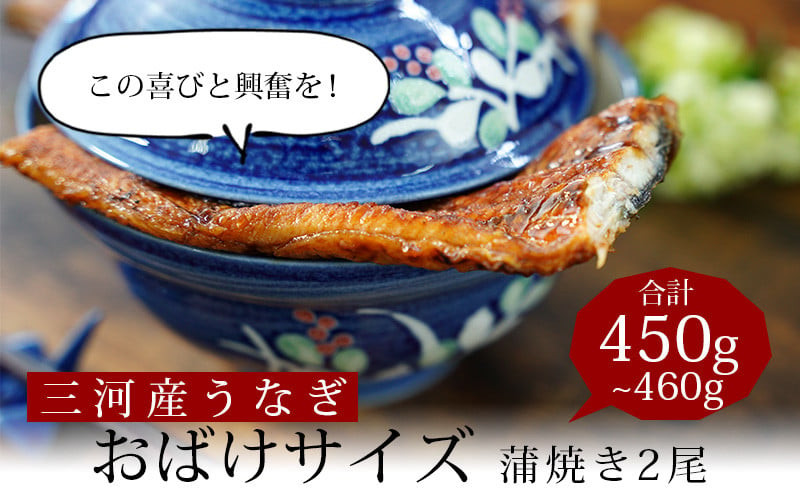 
国産うなぎ 三河産 おばけうなぎ蒲焼き2尾（2尾合計450～460g）うなぎ 超特大 おばけサイズ 2尾 本格 鰻 蒲焼 愛知県 西尾市 愛知養魚 惣菜 海鮮 ウナギ 丑の日 土用の丑の日 A126-19
