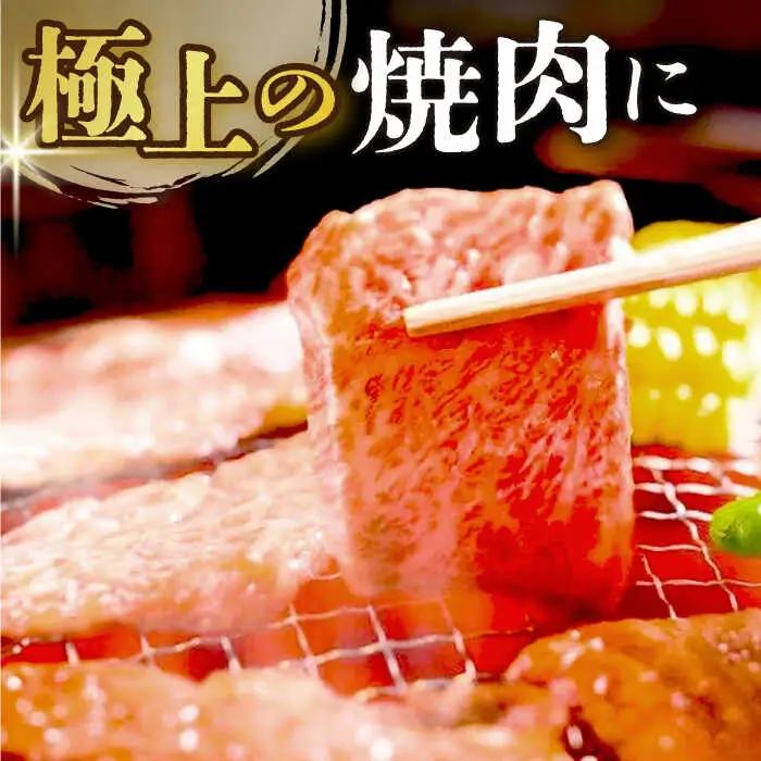 A4-A5 長崎和牛 焼肉用 500g×2 (1kg)  [DBS002] 牛肉 焼肉