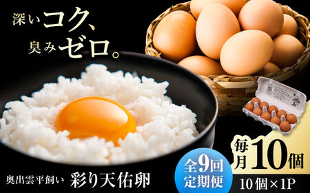 【9回定期便】彩り天佑卵 10個入り[AIDL009] 卵