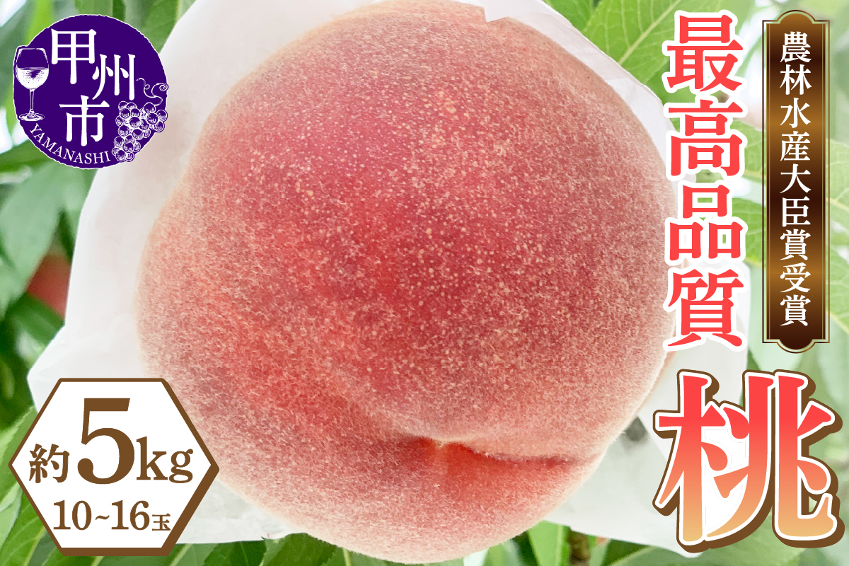 農林水産大臣賞受賞経験のある最高品質の桃を感謝を込めて朝どれでお贈りします！約5kg（10～16玉）【2026年発送】（LMS）D-170