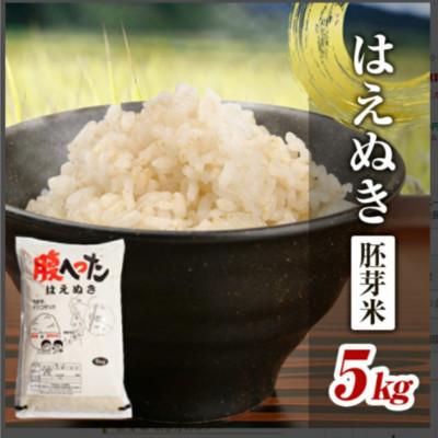 ふるさと納税 酒田市 はえぬき 胚芽米 5kg