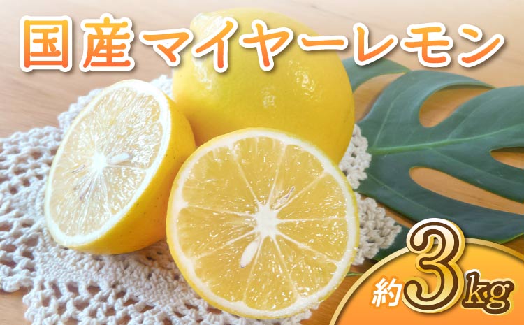 【先行予約】  国産 マイヤーレモン 約3kg 15〜20玉【吉田レモニー】【2025年9月下旬-2026年6月上旬発送】
