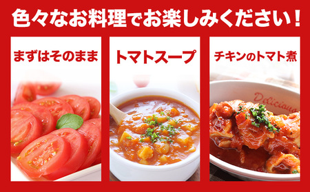 大玉トマト 2kg 9-12玉   松澤農園  岩手県九戸村