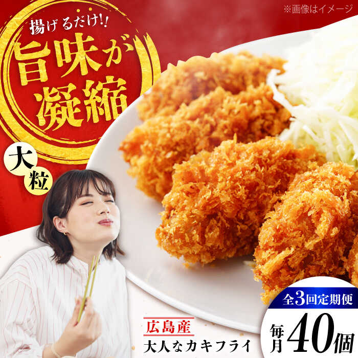 【ふるさと納税】【全3回定期便】こだわり大粒の『大人なカキフライ』【瞬間冷凍】40個入り 【瞬間冷凍】『大人なカキフライ』魚介類 海鮮 牡蠣 むき身 冷凍 かき カキフライ カキ ギフト 広島県産 人気 送料無料 江田島市/有限会社マルイチ水産[XCU008]