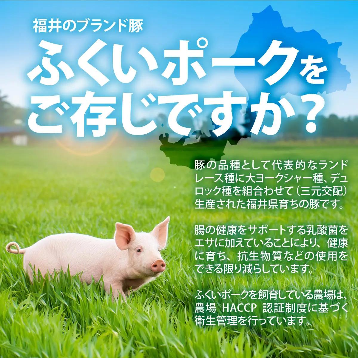 ふくいポーク ロース・肩ロース 約1kg [A-012009]