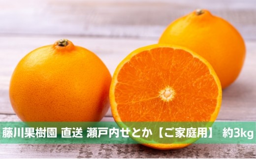 
                  数量限定 瀬戸内せとか 約3kg【ご家庭用】 みかん フルーツ 果物 柑橘類
                