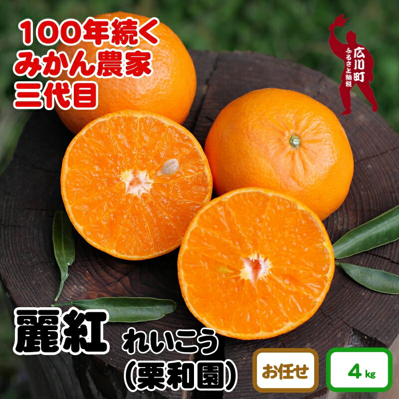 【ふるさと納税】 麗紅 約 4kg (サイズおまかせ) 和歌山 有田産 ※2月中旬頃〜3月下旬頃に順次発送予定 14000円 / れいこう みかん ミカン オレンジ 蜜柑 柑橘 果物 フルーツ 国産 和歌山県広川町 //dekopon