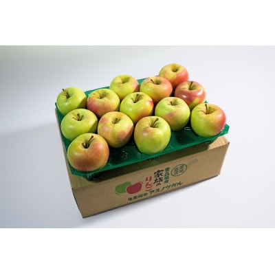 糖度13度以上保証!ぐんま名月約3kg(6～18玉)訳あり【配送不可地域：離島】【1683051】