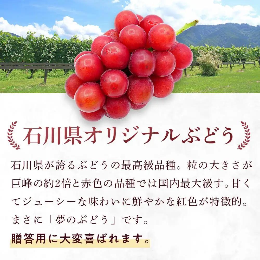【2026年先行予約】【数量限定】先行予約 JA金沢市 ルビーロマン 金沢市産